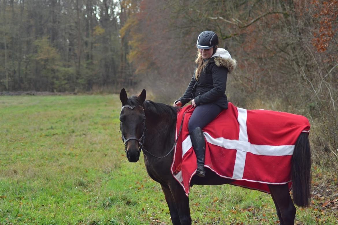 Anden særlig race Chiquita (Banan)  billede 13