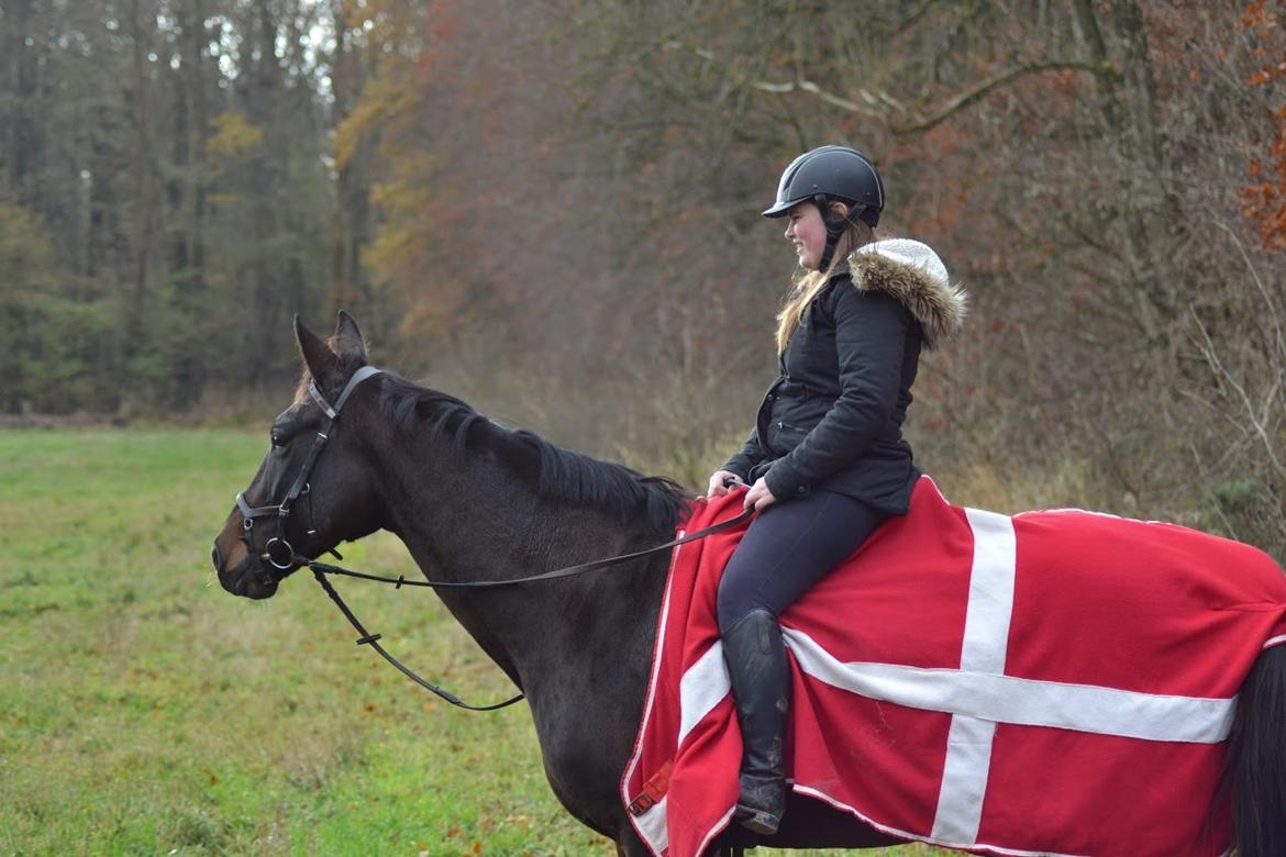 Anden særlig race Chiquita (Banan)  billede 14