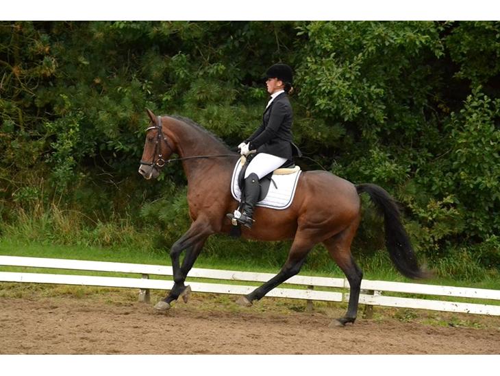 {{currentPhoto.altText}} billede {{currentPhoto.number}}