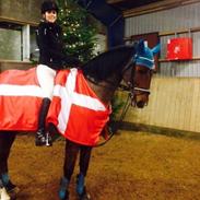 Anden særlig race Lukas.