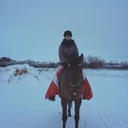 Anden særlig race Lukas.