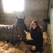 Anden særlig race Lukas.