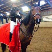 Anden særlig race Lukas.