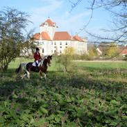 Gelderland Santander