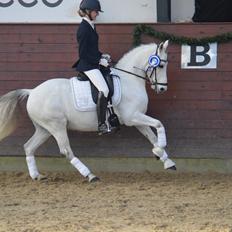 DSP Jean Le'Penn A PONY 