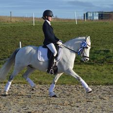 DSP Jean Le'Penn A PONY 