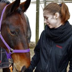 Oldenborg Nabih Adoa (himmelhest) 