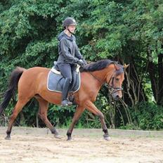 Anden særlig race Jenny