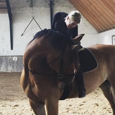 Anden særlig race Marcel Regal