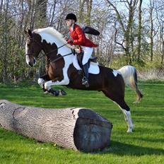 Gelderland Santander