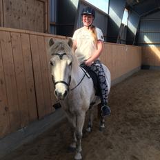 Islænder Bruni fra Hedebo