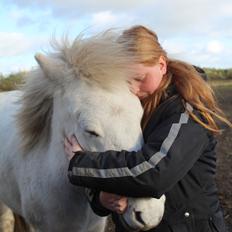 Islænder Bruni fra Hedebo