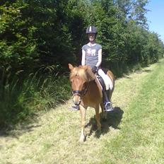 Gotlandsruss Prins (Fantom M)