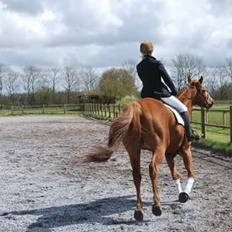 Paint Our Treasure Magnum