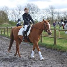 Paint Our Treasure Magnum