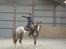 Appaloosa DIego