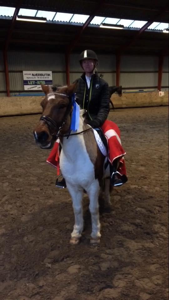 Islænder Aslan - vores første sløjfe sammen :) dressur ismule :D  (66% LD2 A)  billede 9