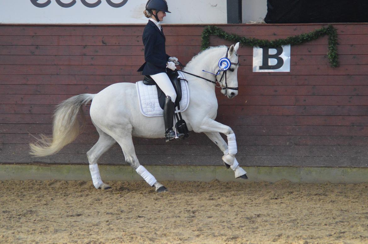 DSP Jean Le'Penn A PONY  - Ecco Cup finale 2016 billede 1