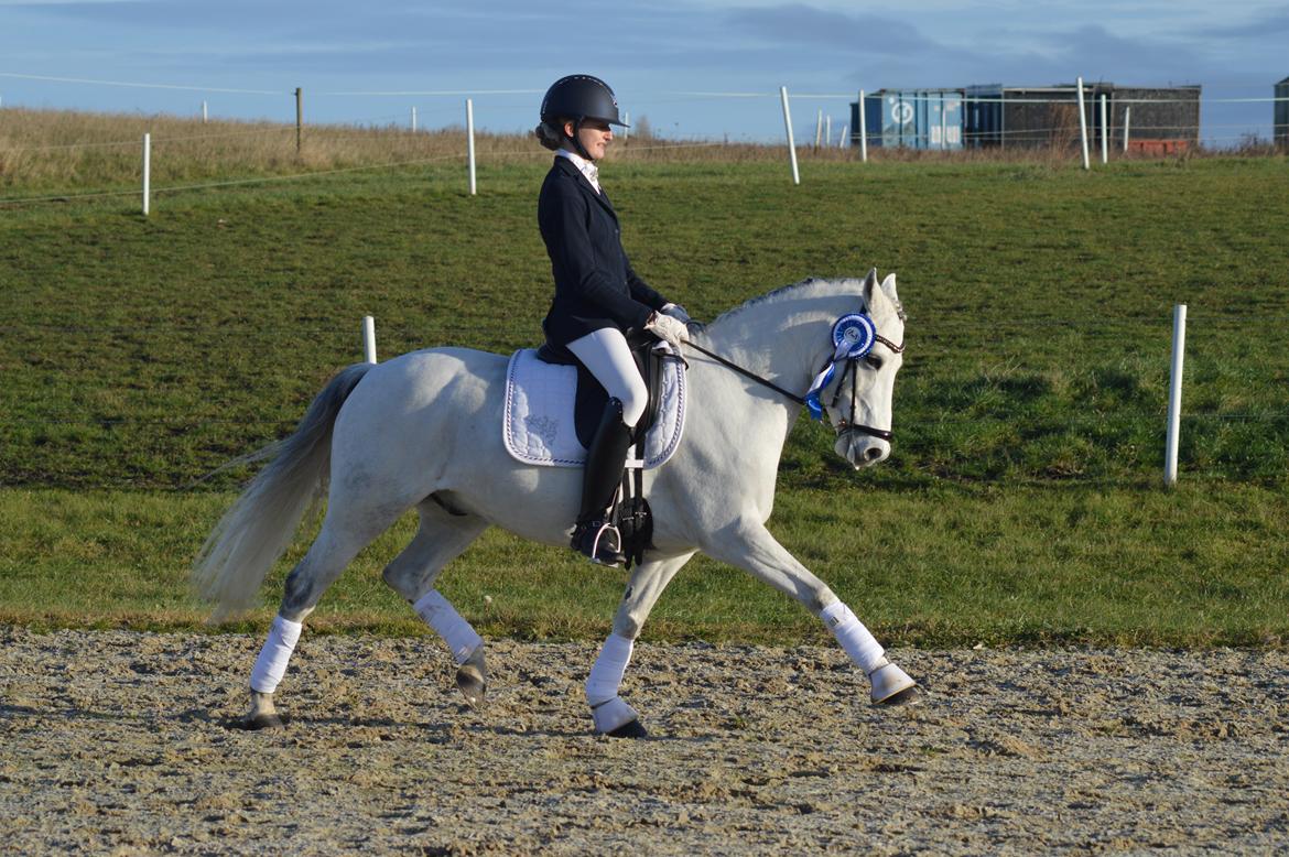 DSP Jean Le'Penn A PONY  billede 3