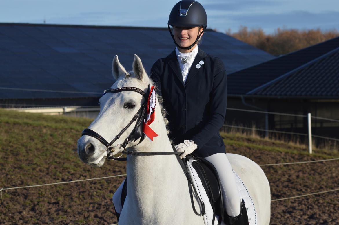DSP Jean Le'Penn A PONY  billede 6