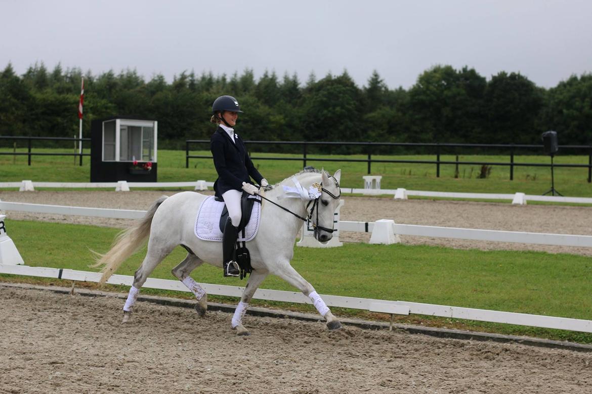 DSP Jean Le'Penn A PONY  - DM 2016 billede 8