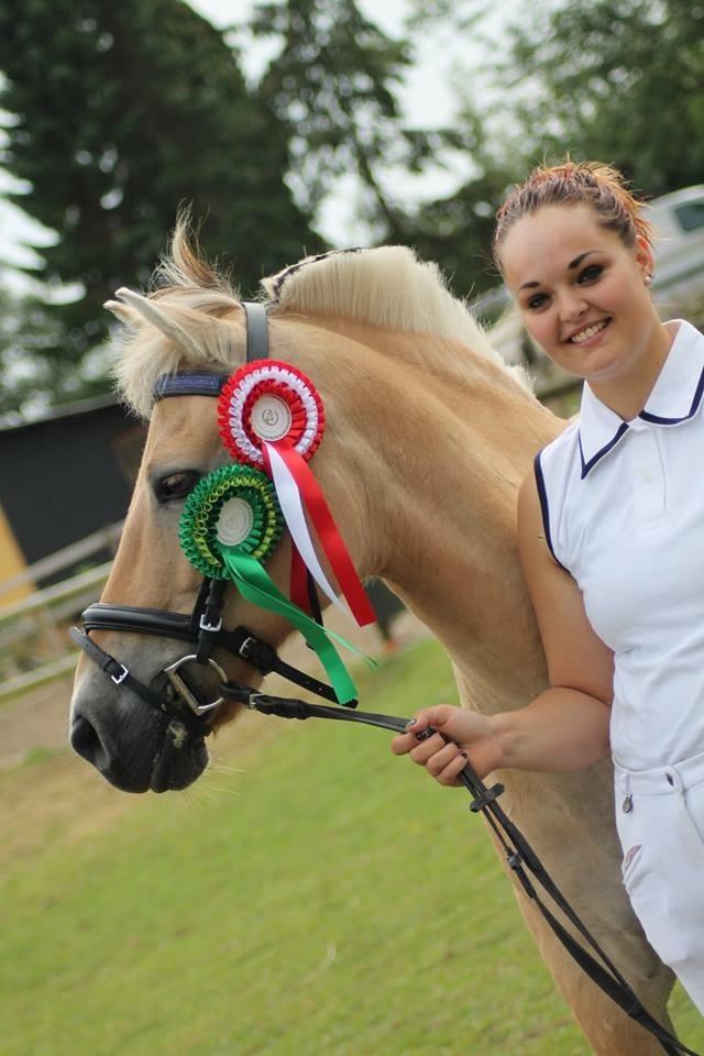 Fjordhest Silas Stanstorp - Min Elskede Bamse billede 11
