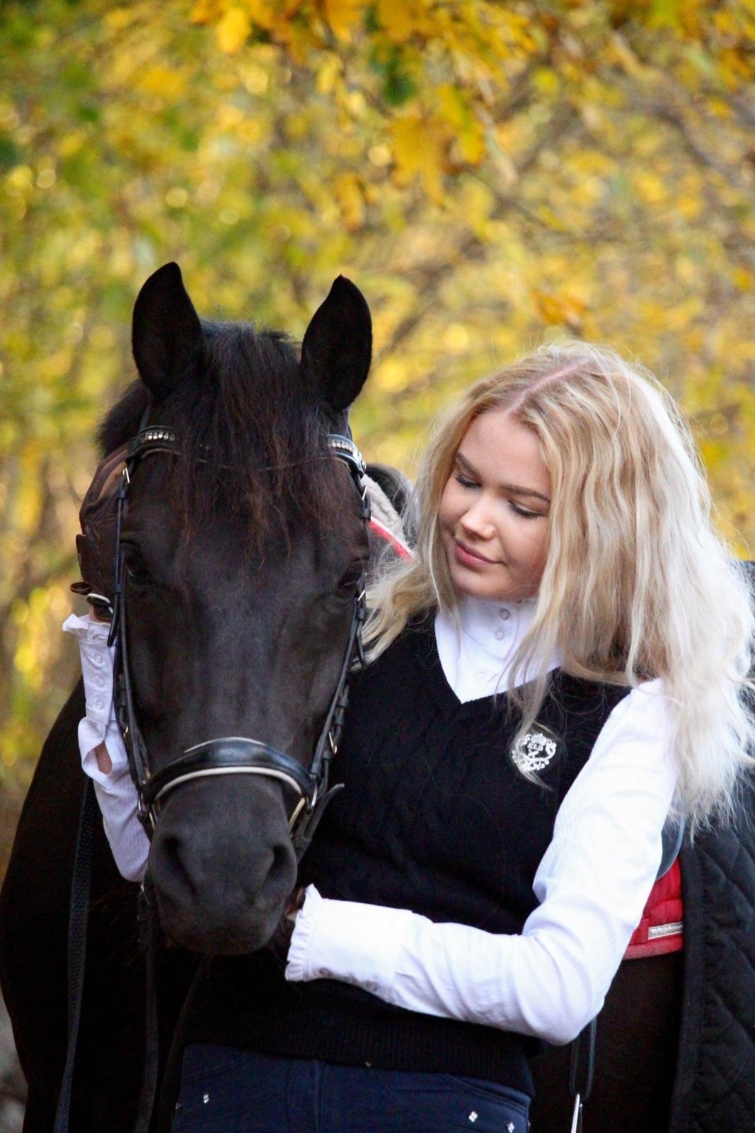 New Forest Hallinds Kaiser billede 7