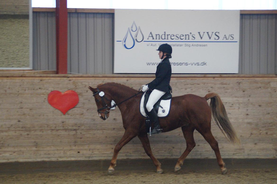 DSP B-Ready - Første stævne. billede 2