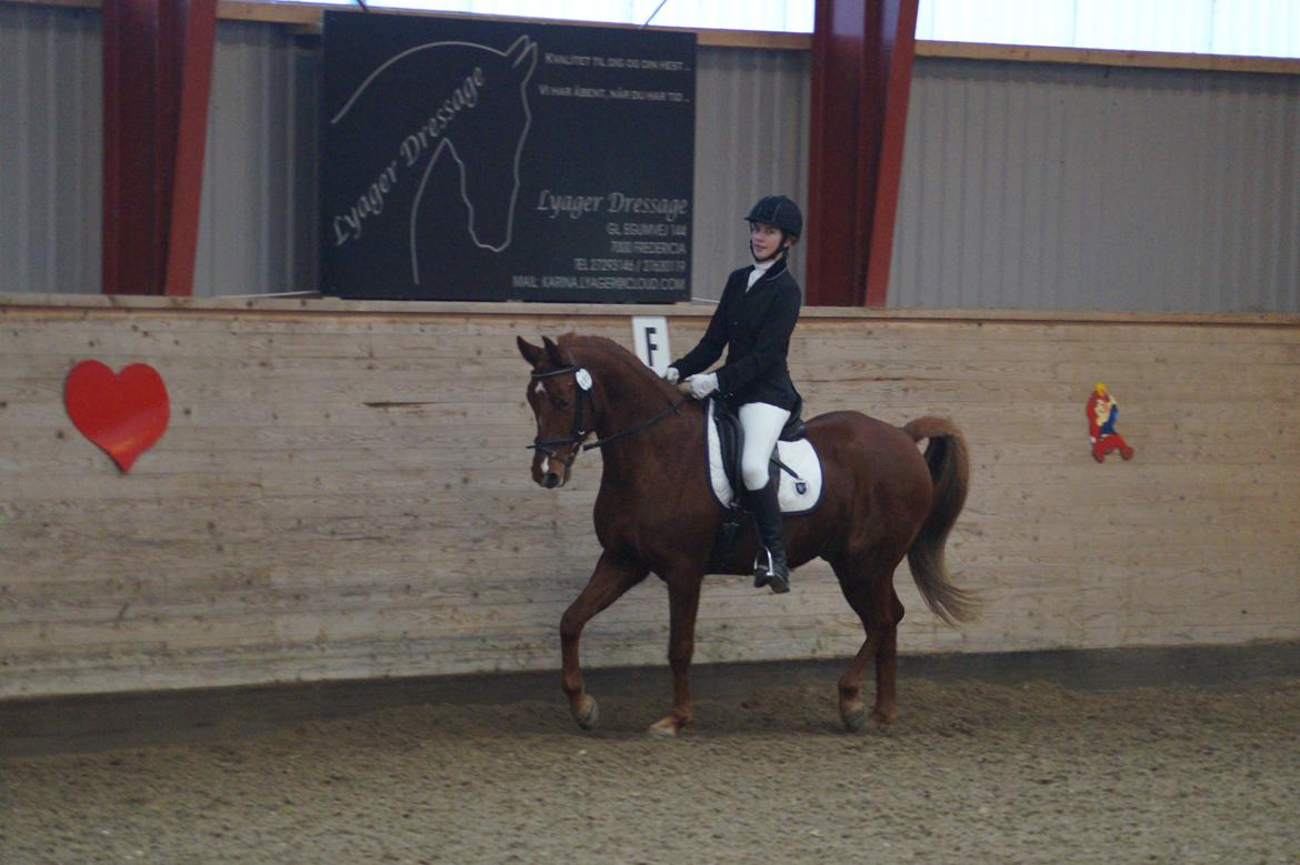 DSP B-Ready - Første stævne billede 9