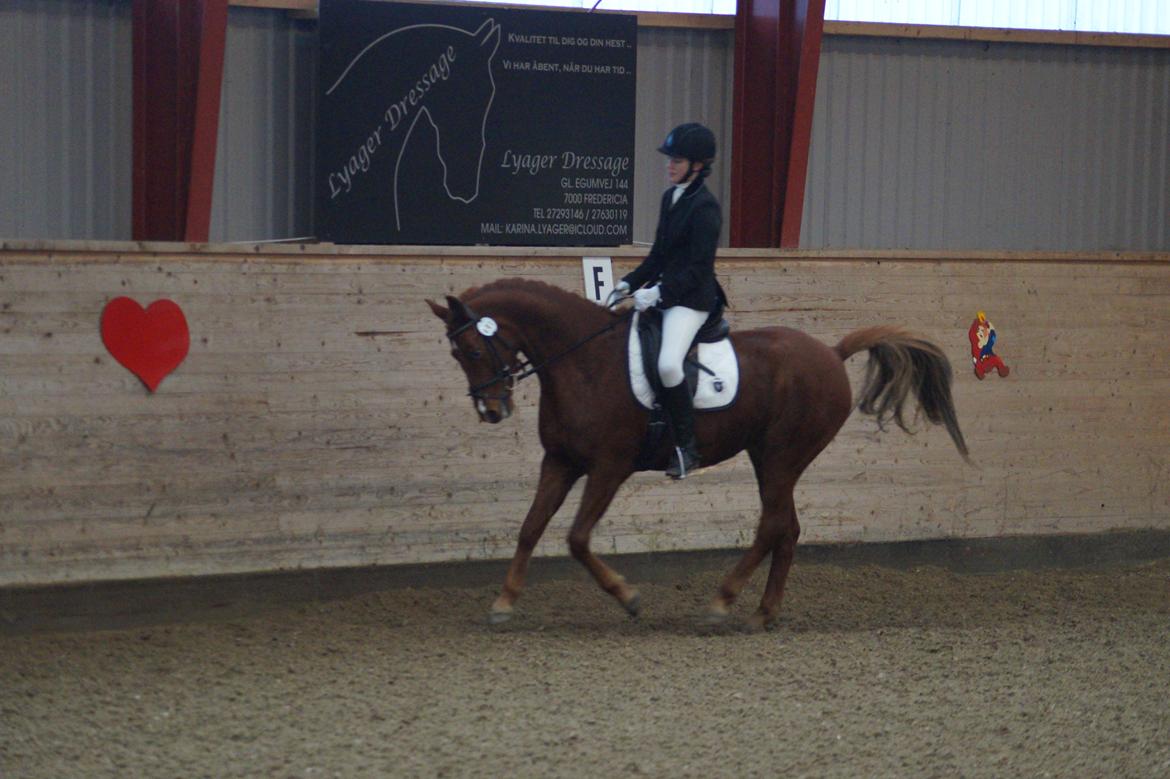 DSP B-Ready - Første stævne billede 14