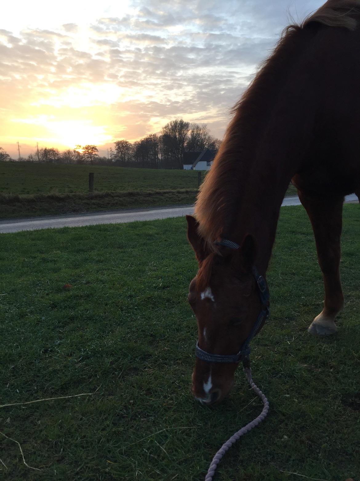 DSP B-Ready billede 4