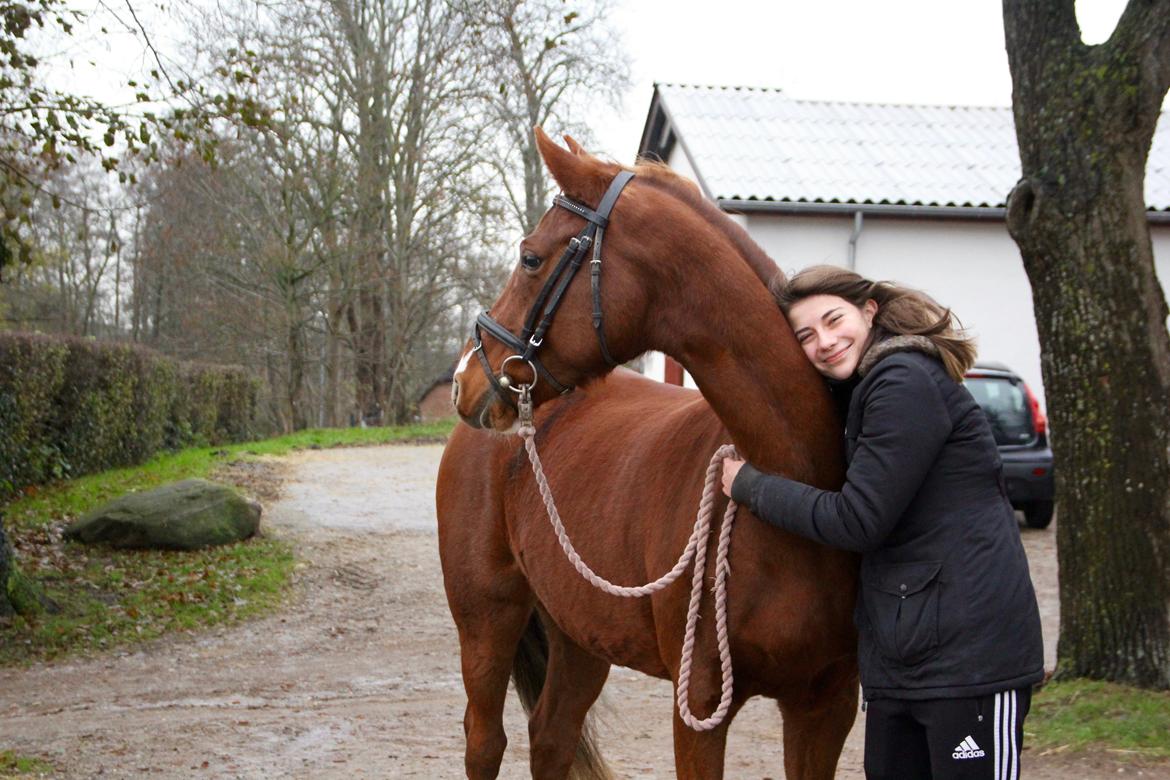 DSP B-Ready billede 12