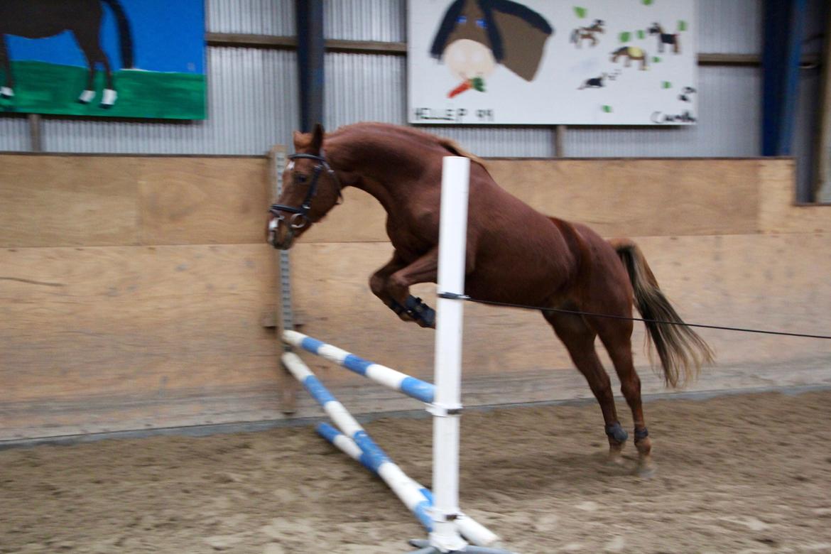 DSP B-Ready - Løsspringning for første gang billede 15