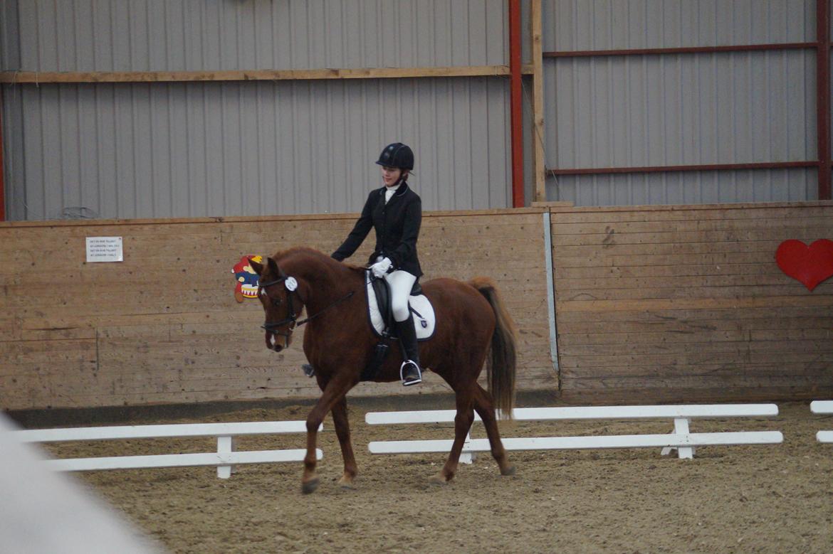 DSP B-Ready - Første stævne billede 16