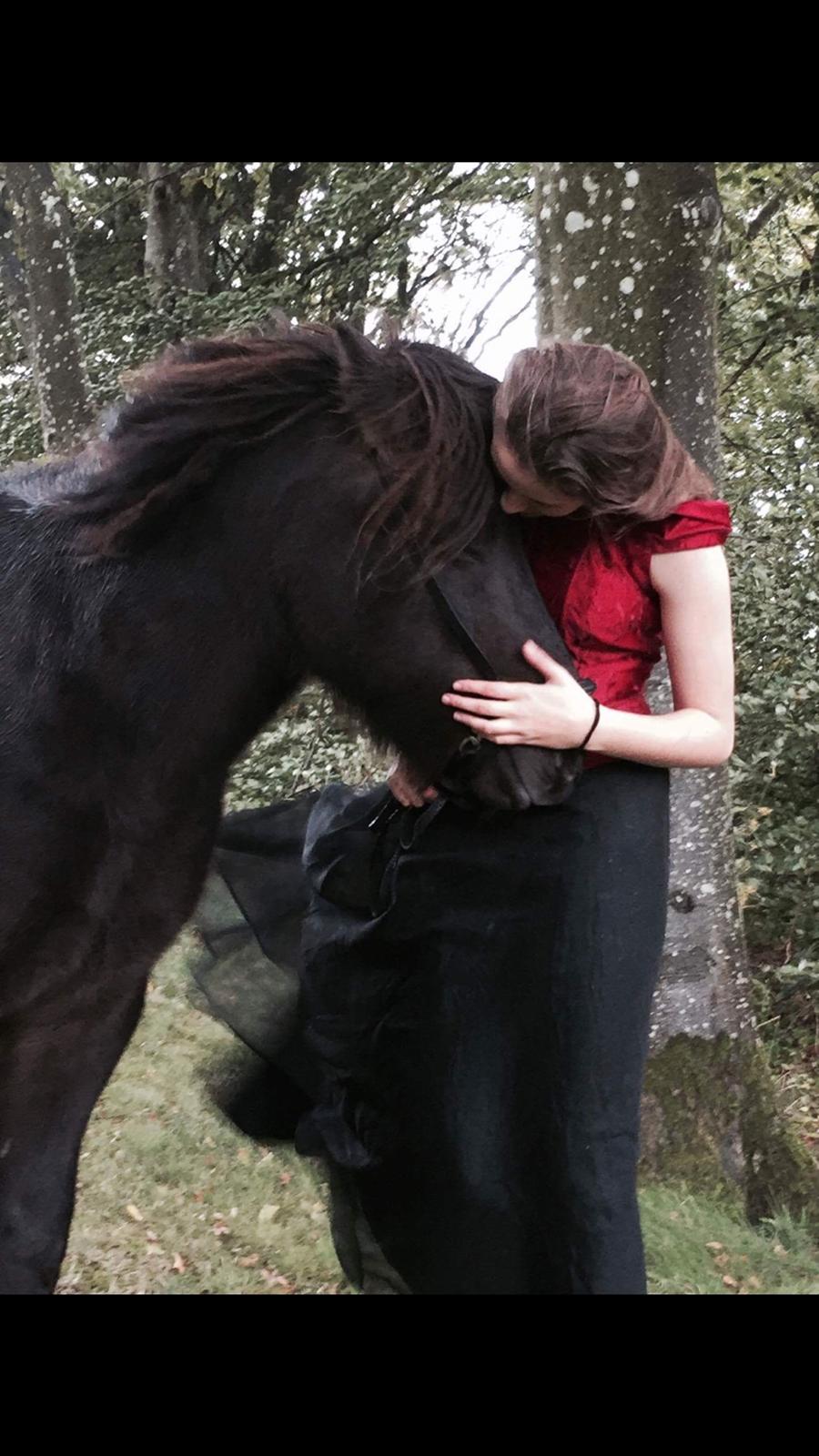 Islænder Vinur fra Dejbjerg  billede 4