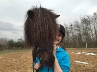 Islænder Vinur fra Dejbjerg  billede 9