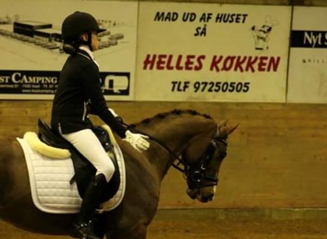 DSP hesselbjergs sunset billede 1