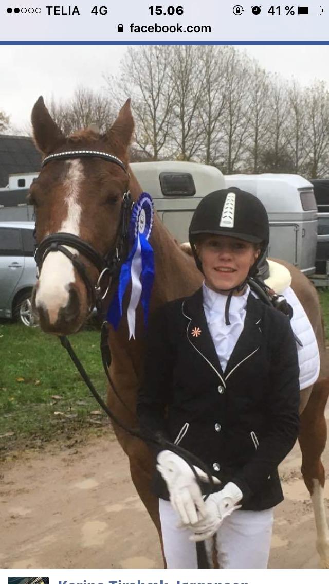 DSP hesselbjergs sunset billede 9