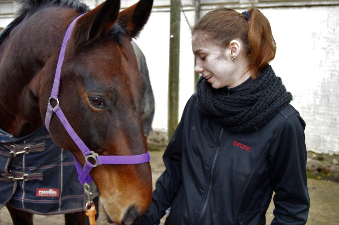 Oldenborg Nabih Adoa (himmelhest)  billede 1