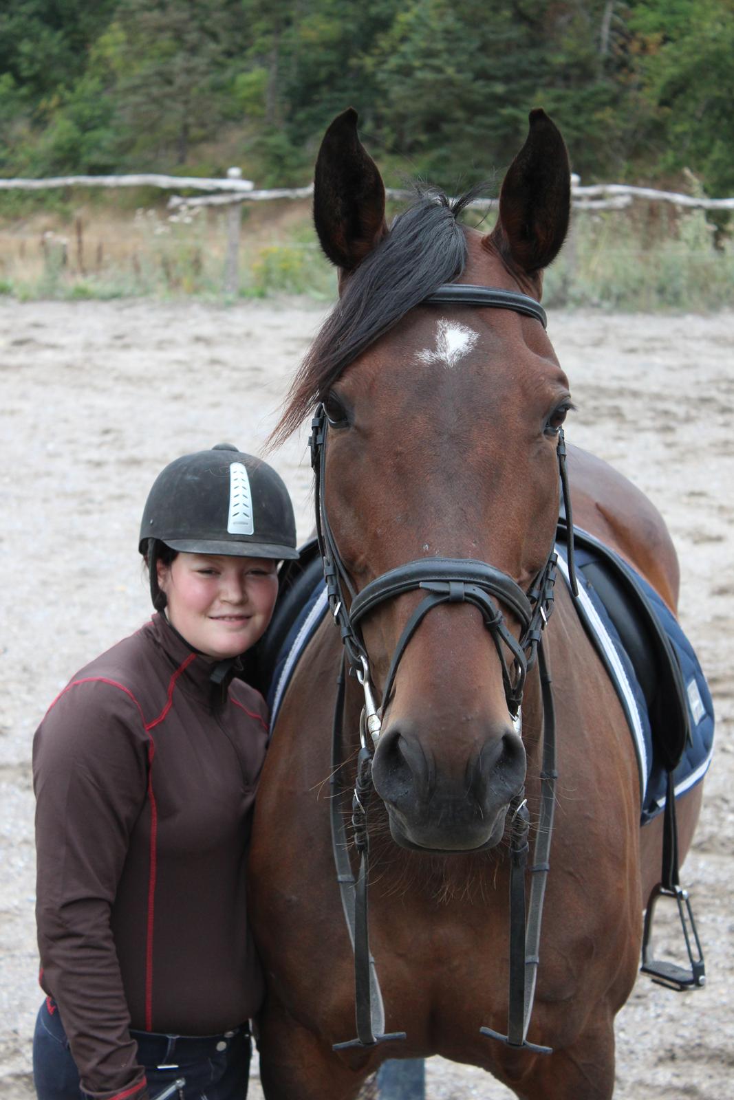 Anden særlig race Vilsbæk Flicka (Himmelhest) billede 20