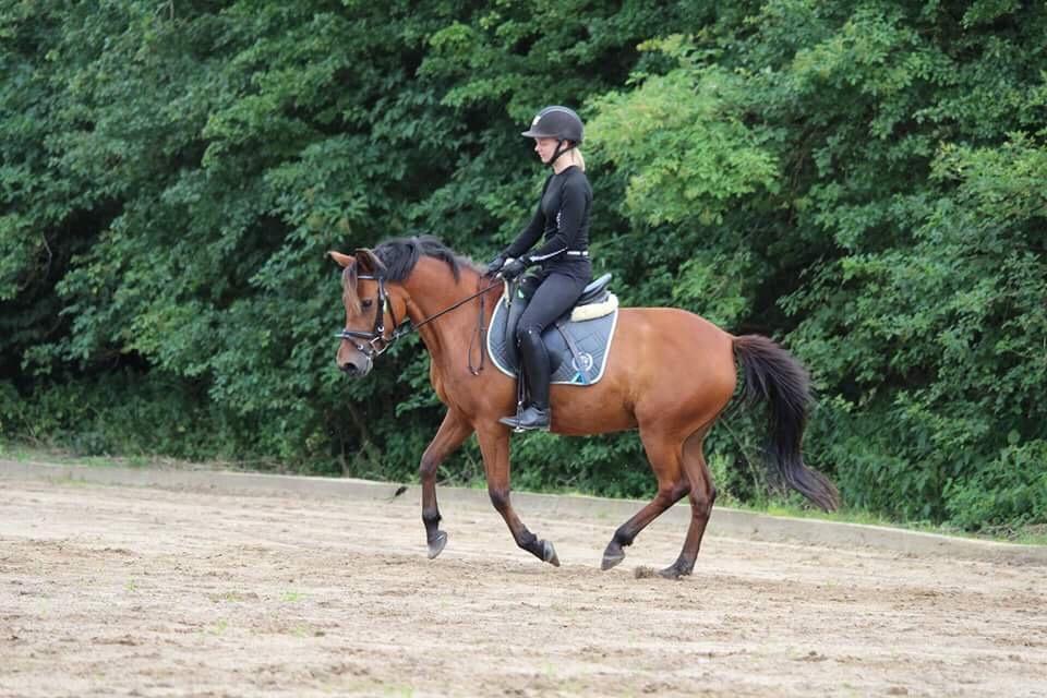 Anden særlig race Jenny billede 4