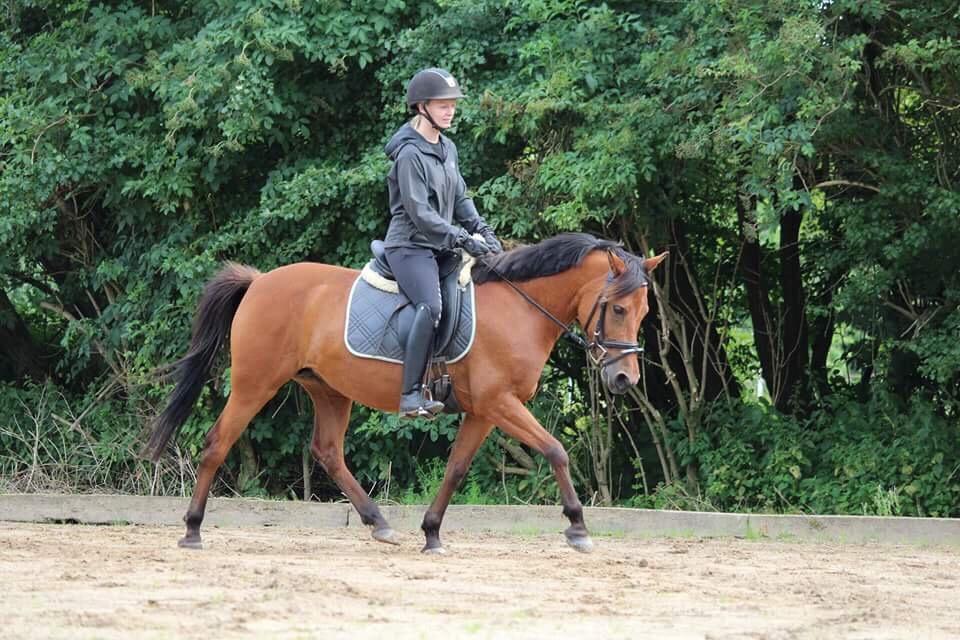 Anden særlig race Jenny billede 3