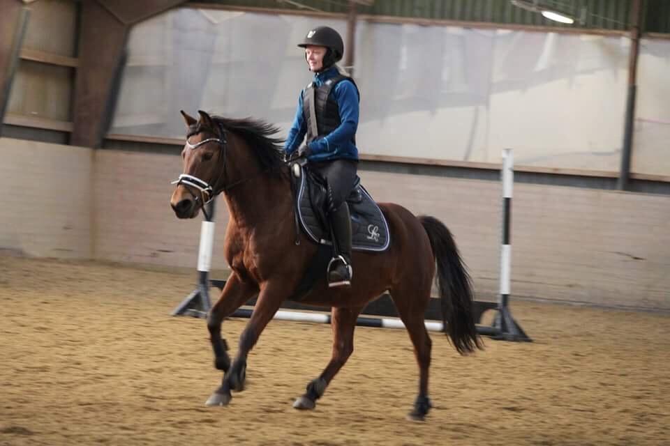 Anden særlig race Jenny billede 5
