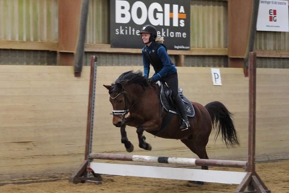 Anden særlig race Jenny billede 8