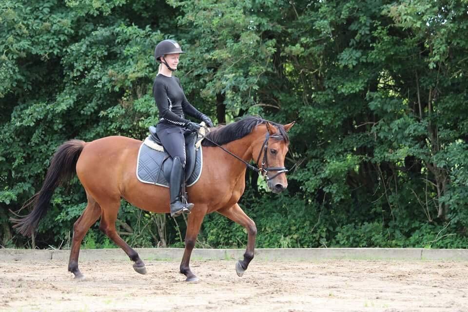 Anden særlig race Jenny billede 7