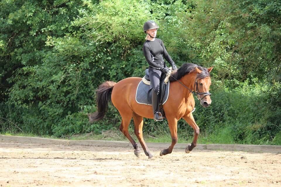 Anden særlig race Jenny billede 9