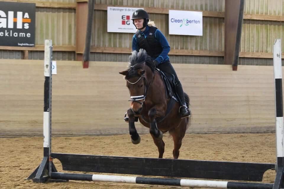 Anden særlig race Jenny billede 11