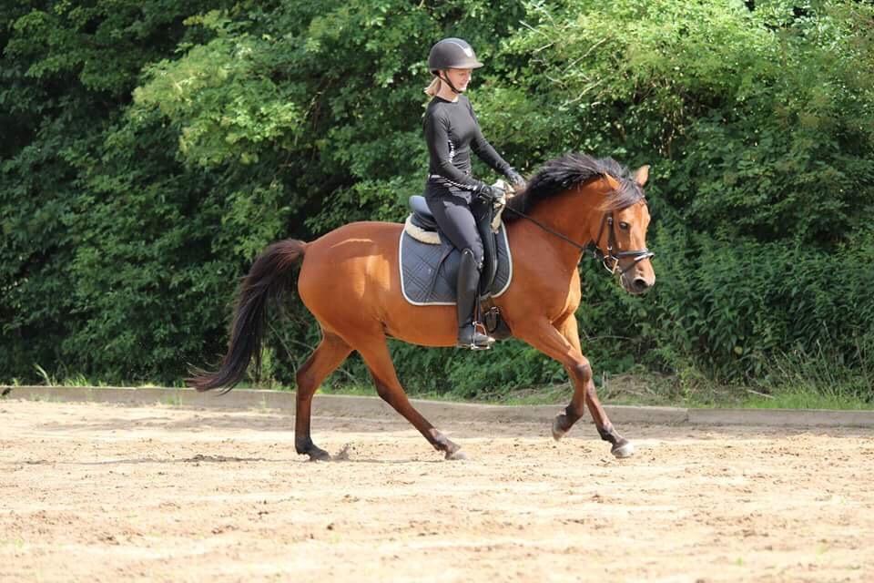 Anden særlig race Jenny billede 12