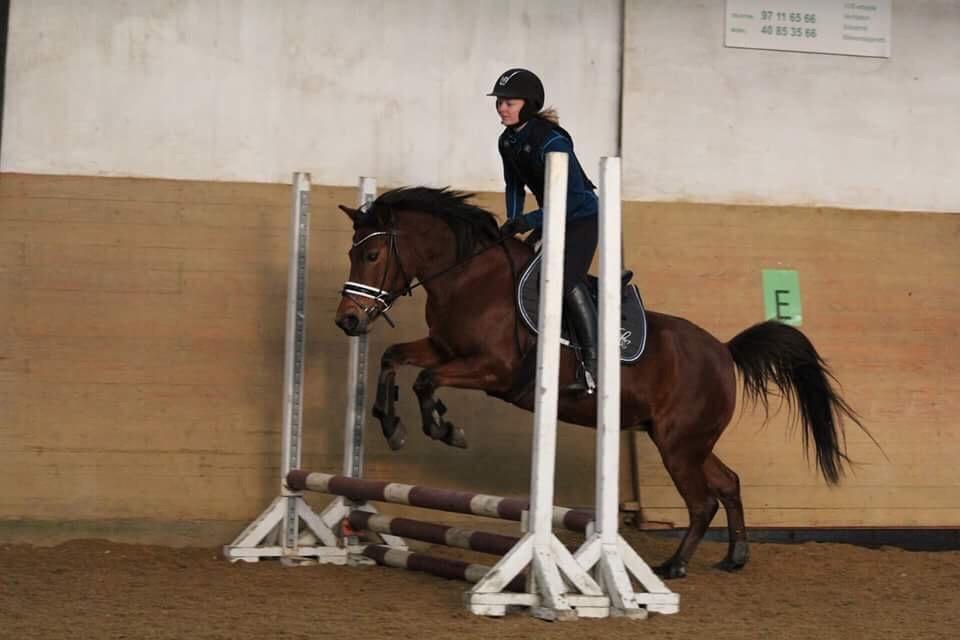 Anden særlig race Jenny billede 13