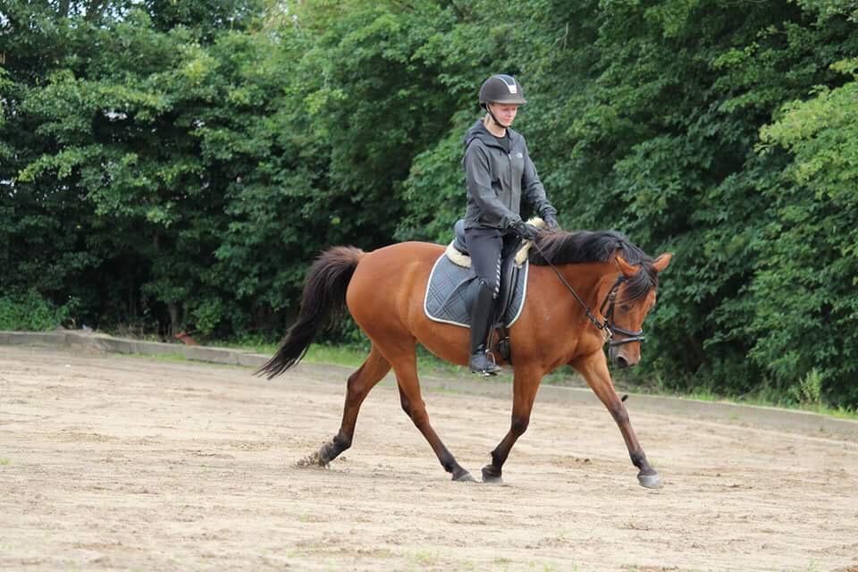 Anden særlig race Jenny billede 14